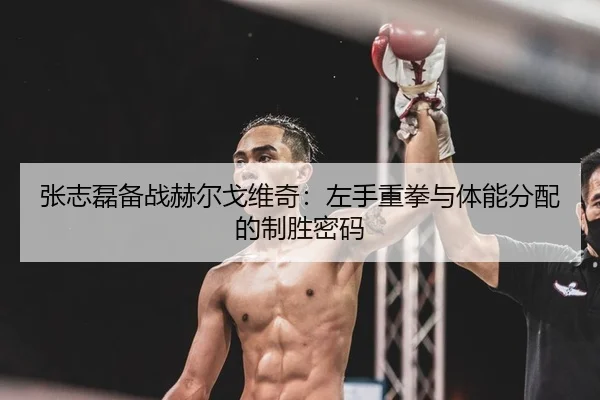 张志磊备战赫尔戈维奇：左手重拳与体能分配的制胜密码